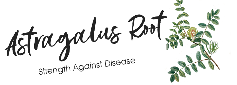 Copyright 2023 Twin Beaks© Aviary  All Rights Reserved