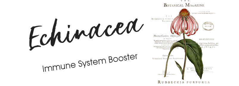 &copy; Copyright 2023 Twin Beaks© Aviary  All Rights Reserved