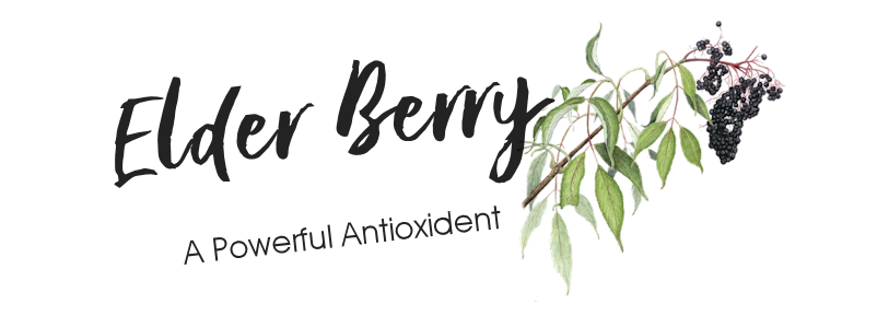 &copy; Copyright 2023 Twin Beaks© Aviary  All Rights Reserved