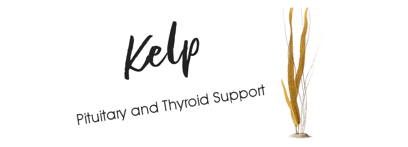 &copy; Copyright 2023 Twin Beaks© Aviary  All Rights Reserved